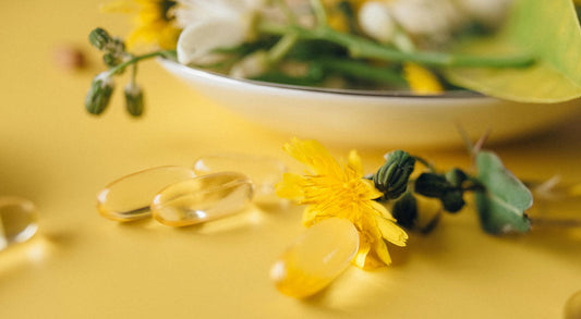 Capsule Filling Tray vs Capsule Machine: Pros and Cons for Home and Small Business