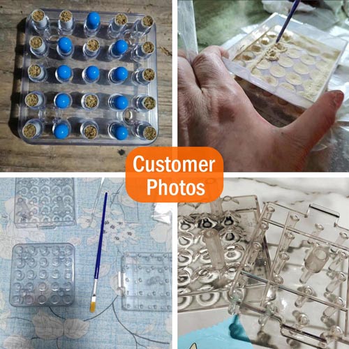 25‑Hole Capsule Filling Tray (Size 00/0/1/2)