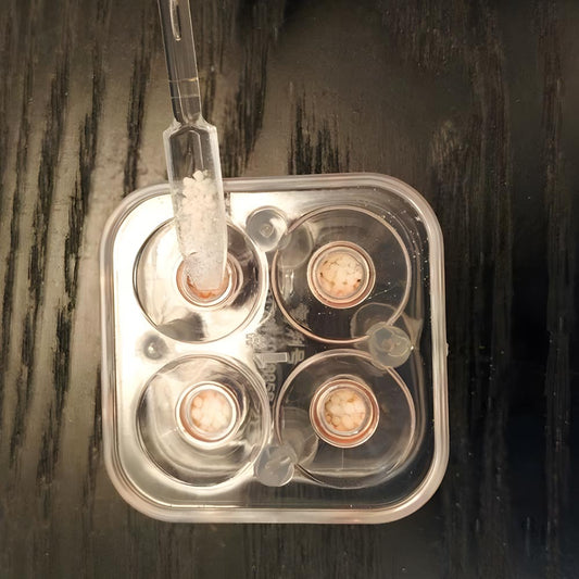 Capsule Filling Machine 00