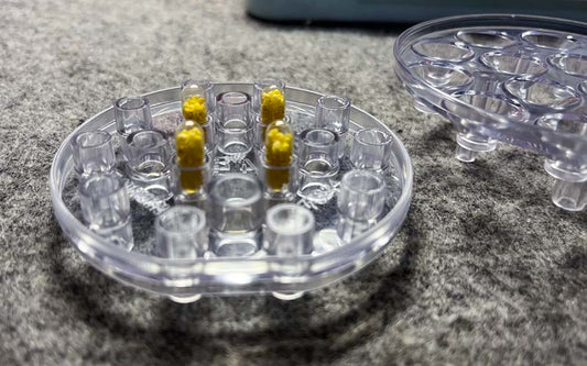 Which Capsule Filling Machine Can Handle Multiple Capsule Sizes?