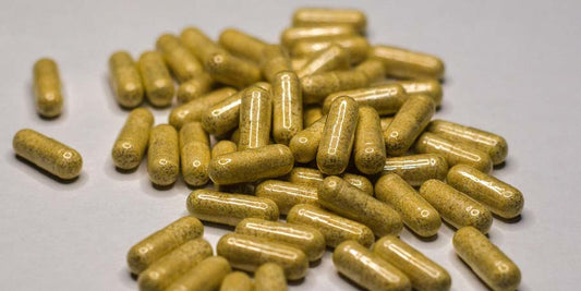 How to Choose the Right Capsule Filling Tray for Your Capsule Size (00/0/1/2)