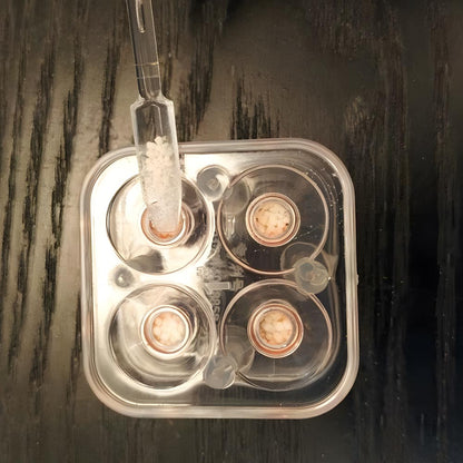 Capsule Filling Machine 00
